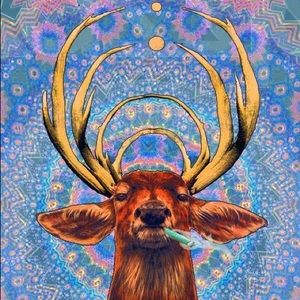 Meet your Posher, Alex